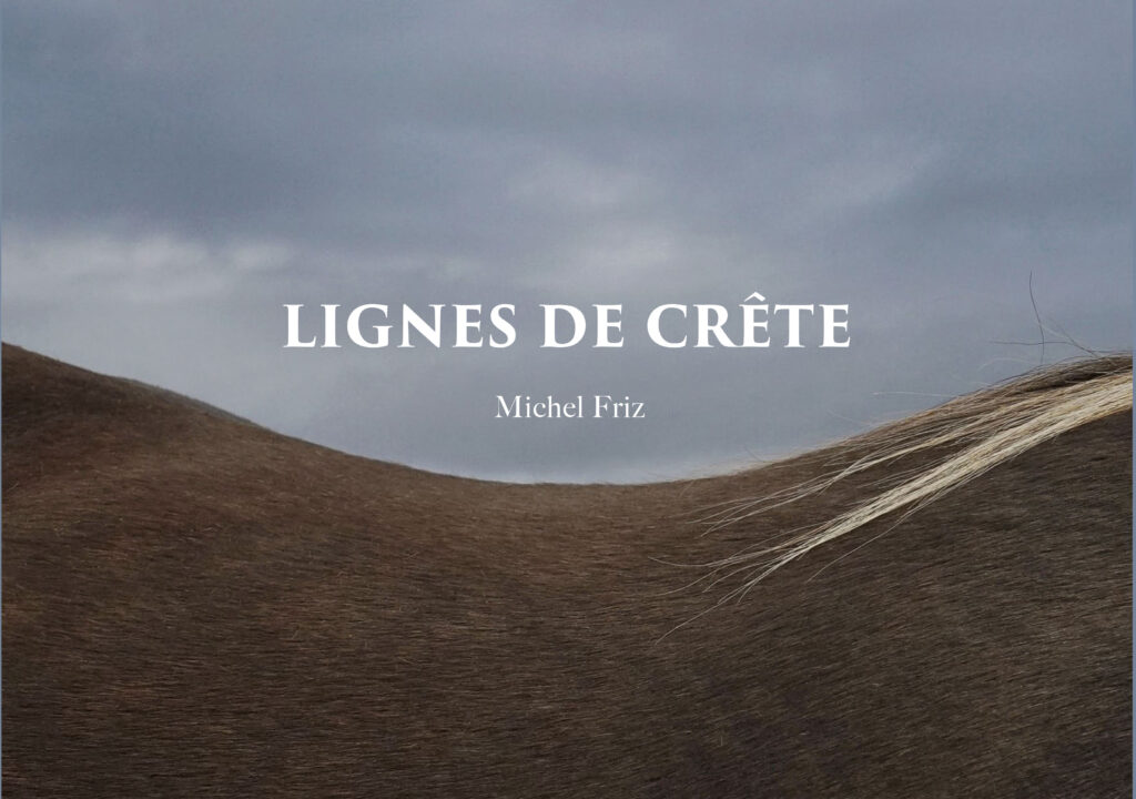 une Couv_Michel_Friz_ok une Couv Michel Friz ok