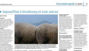 Screenshot_20241012_080826 Screenshot 20241012 080826