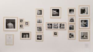 IMG 20250326 152553deux1l