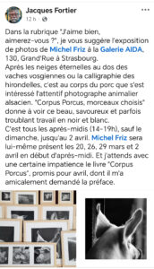 Screenshot 20250326 222359 1