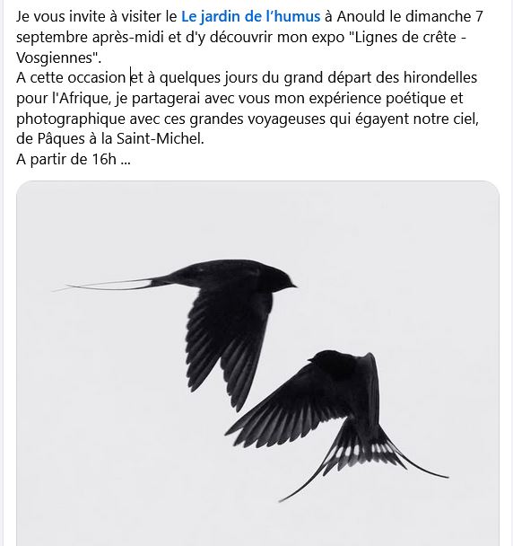 Capture fb Capture fb