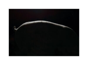 DSC03020un7tirage3ll