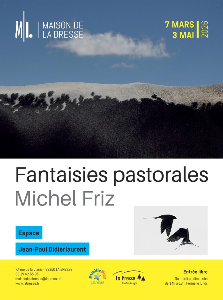 AFF 110x150cm vitrine MLB EXPO Michel Friz l