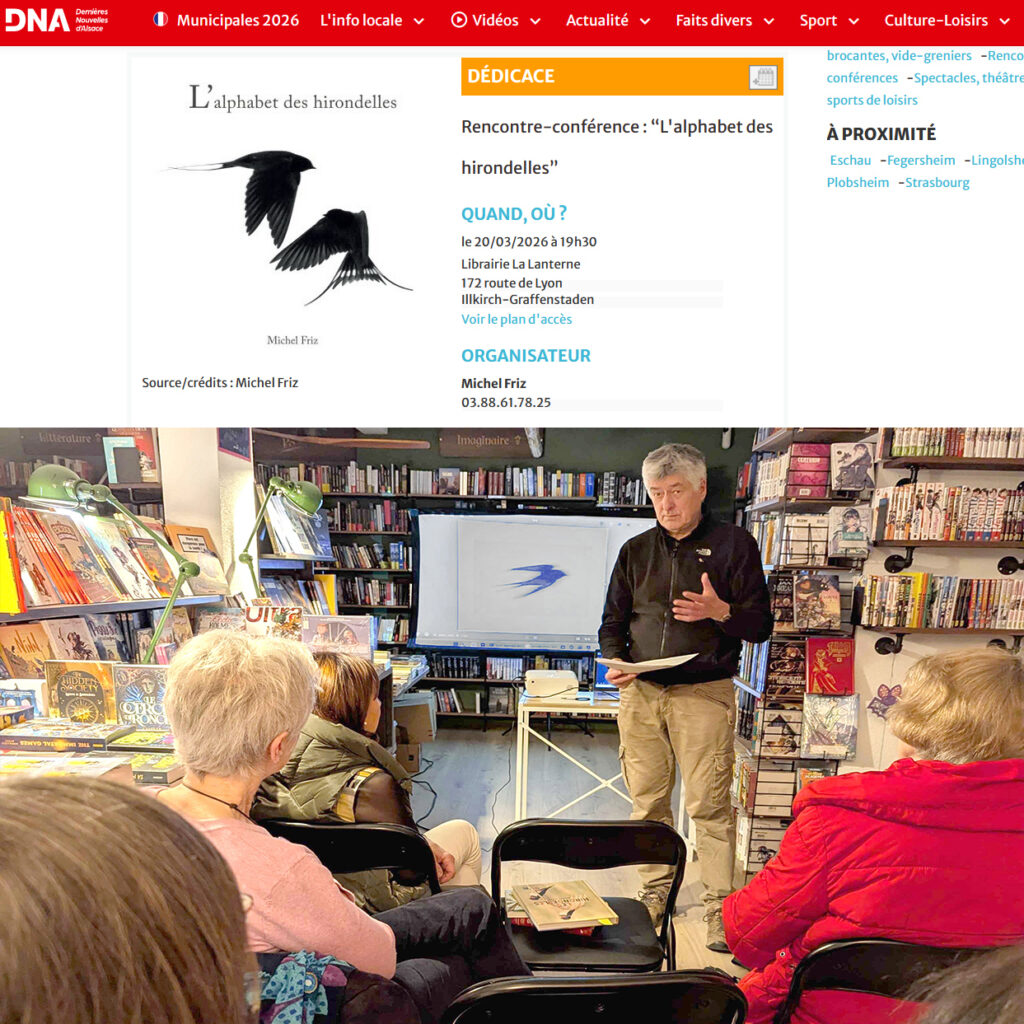 Capture decran 2026 03 17 161005 53